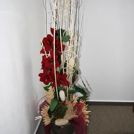 Art Poděbrady